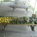 garden 4 garden 4